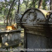 Christian Cemetery Dhaka